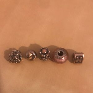 Pandora charms